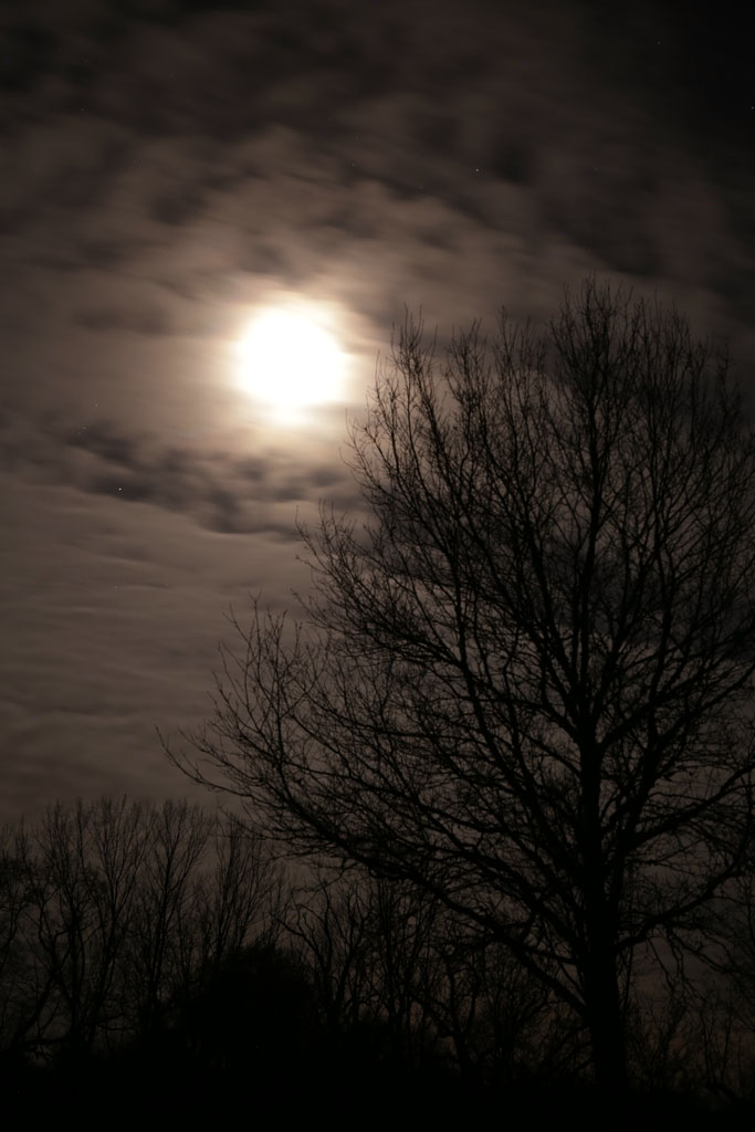 Lune-0314.jpg